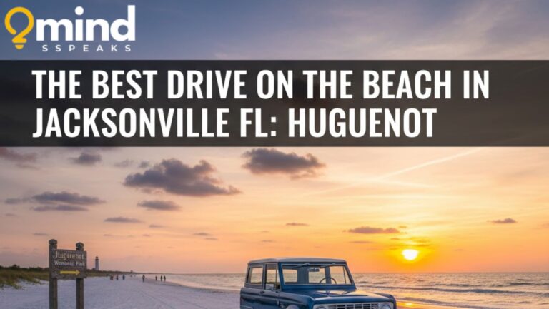The Best Drive on the Beach in Jacksonville FL: Huguenot