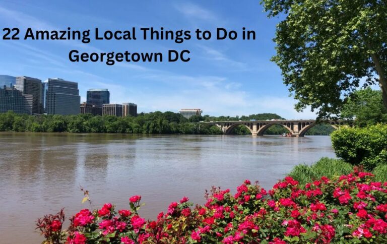 things to do in georgetown dc
