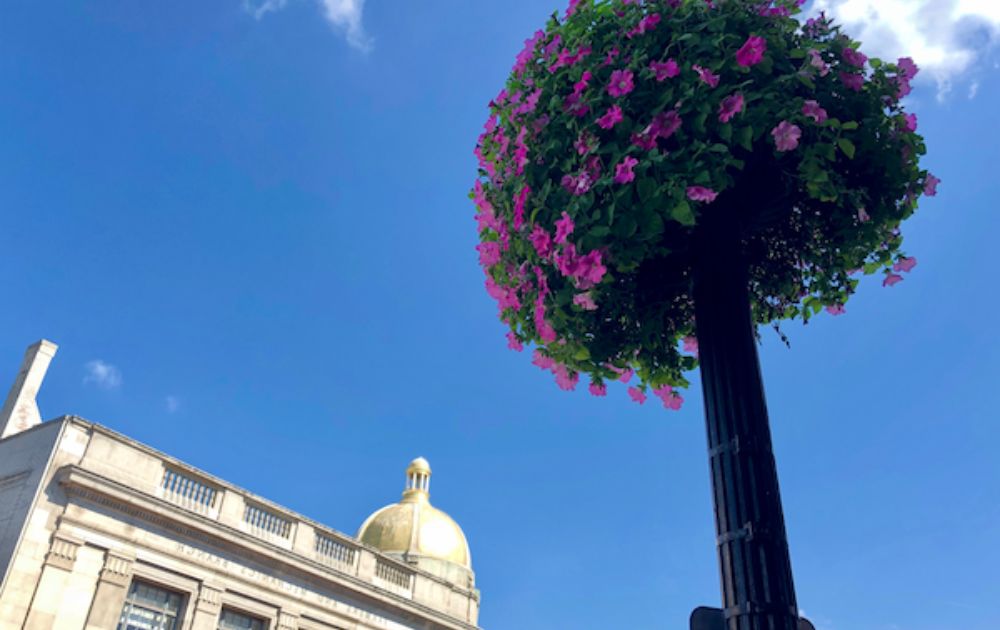 things to do in georgetown dc